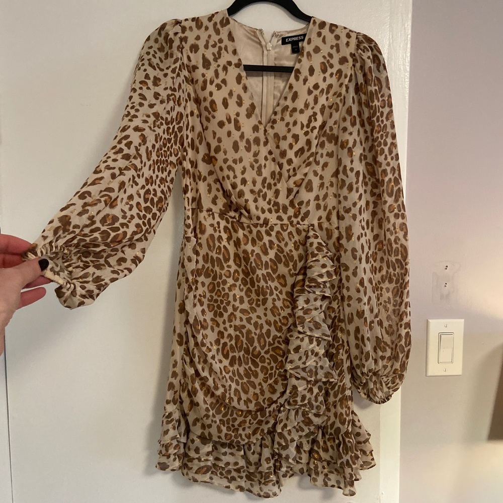 Express Cocktail Dress XS